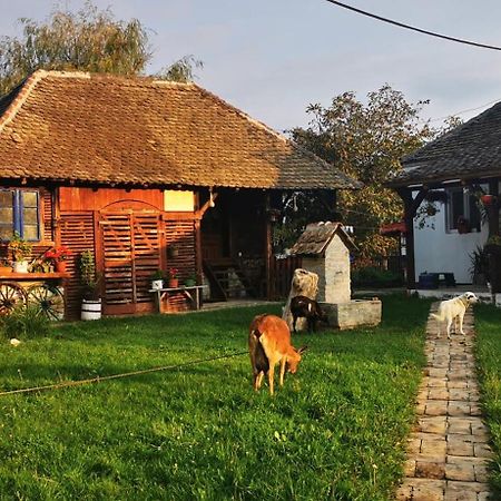 Etno Domacinstvo Miris Bosiljka Mislodin Exterior foto
