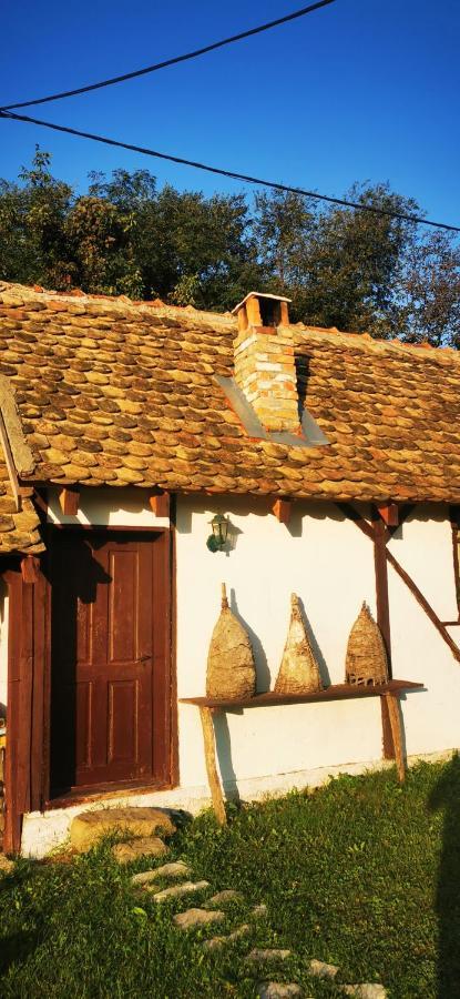 Etno Domacinstvo Miris Bosiljka Mislodin Exterior foto