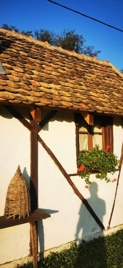 Etno Domacinstvo Miris Bosiljka Mislodin Exterior foto