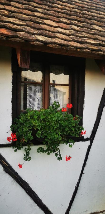 Etno Domacinstvo Miris Bosiljka Mislodin Exterior foto