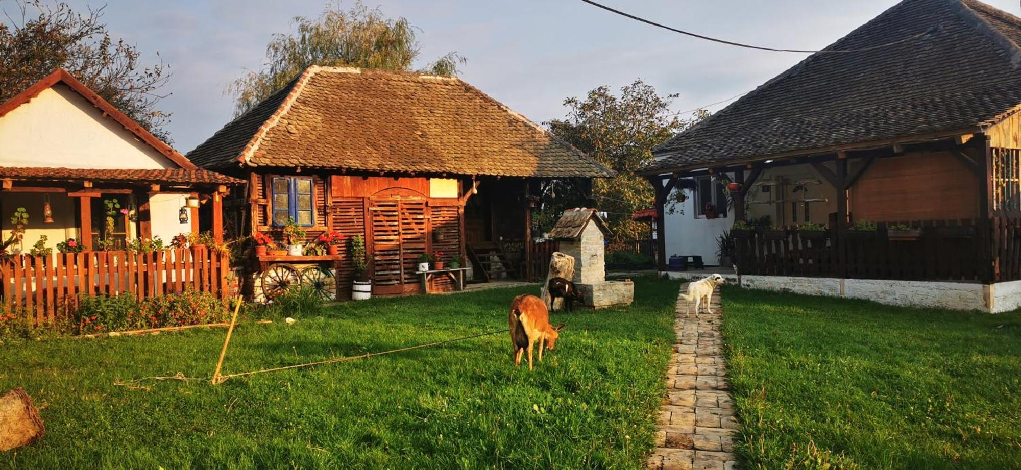 Etno Domacinstvo Miris Bosiljka Mislodin Exterior foto